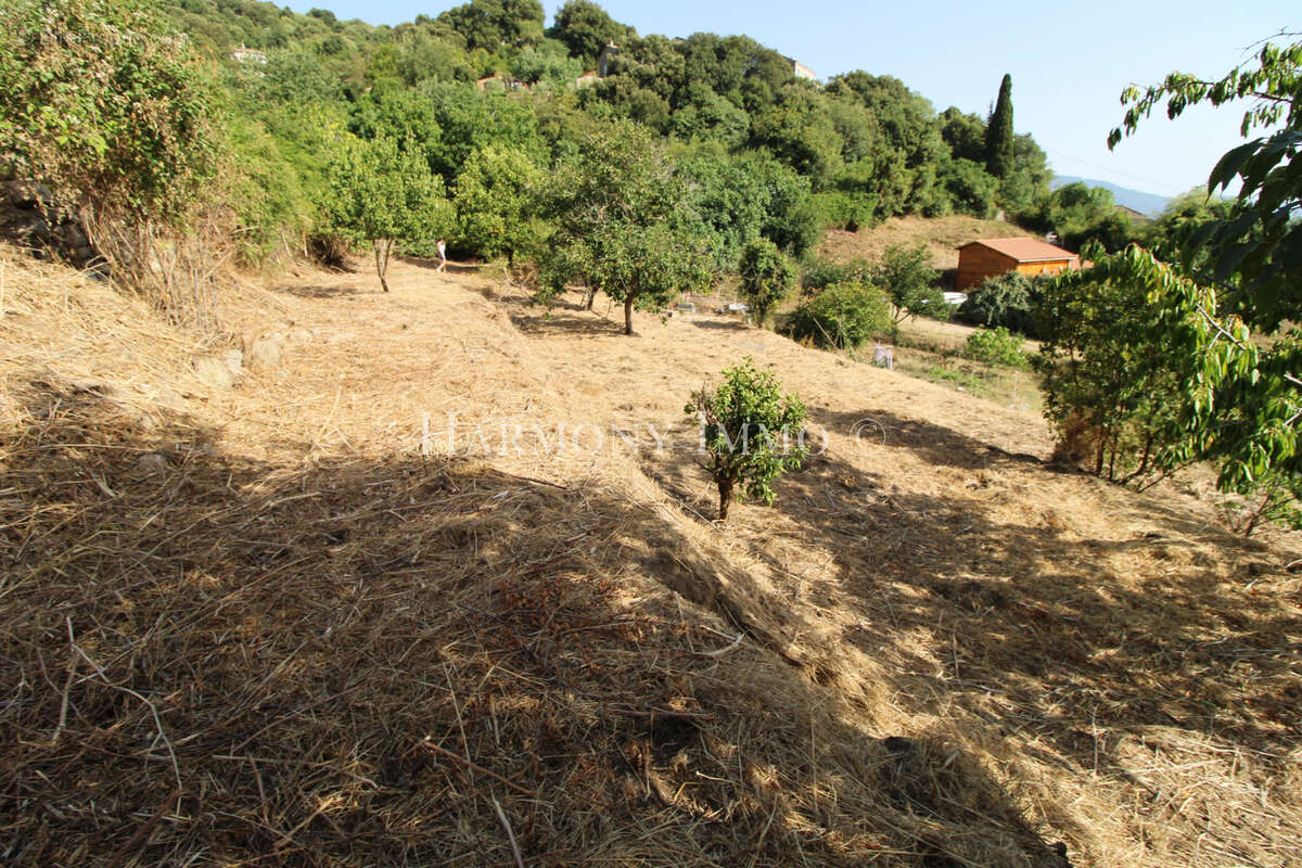 PILA-CANALE — Rare : Grand terrain en restanques de 2 154 m2avec bâtisse traditionnelle en granit à réhabilite - photo 3