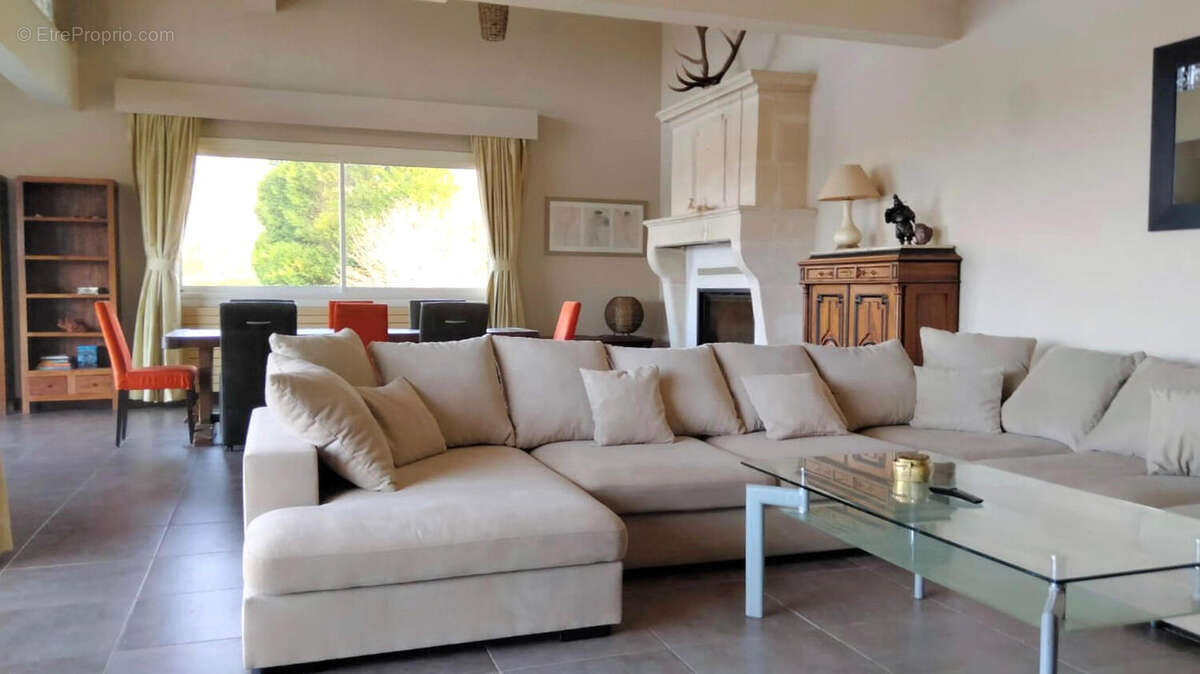 SALON - Maison à ASNIERES-SUR-BLOUR