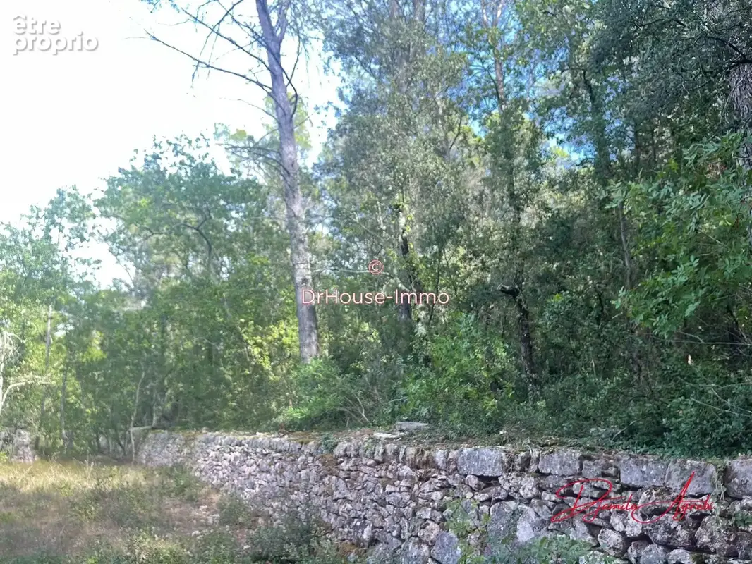 Terrain 4 300 m² à vendre à Cabasse (83340) - photo 8
