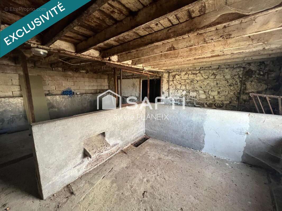 Photo 9 - Appartement à ROCHEFORT-MONTAGNE