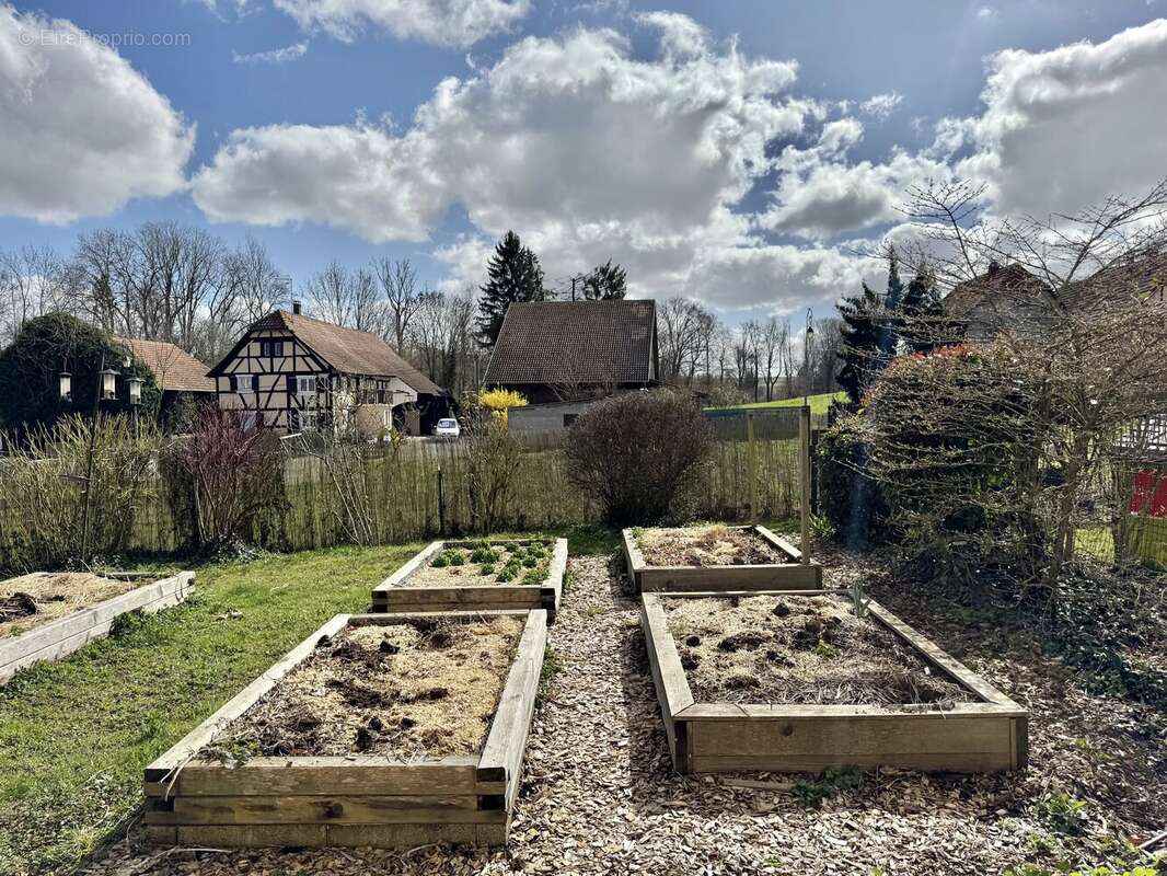 Appartement à ZAESSINGUE