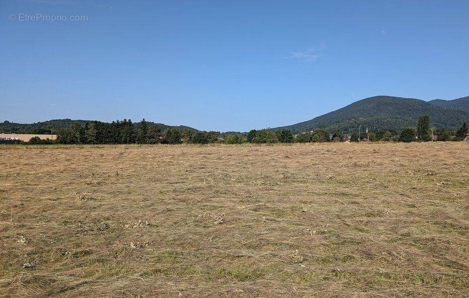 Terrain à VESCEMONT