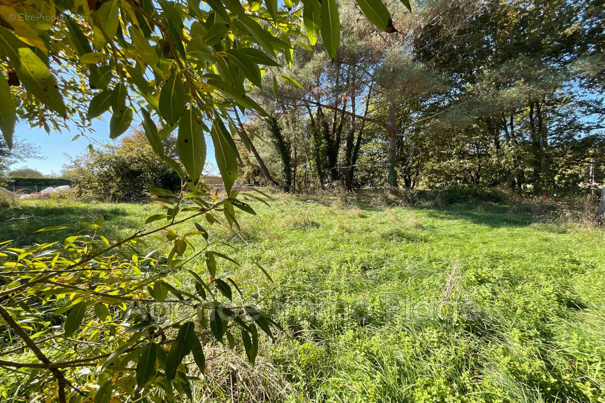 Terrain à VENSAC