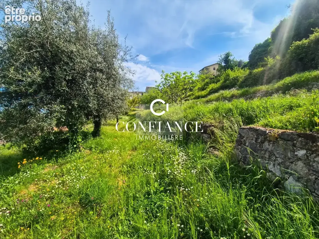 Terrain 1 715 m² à vendre à Chateauneuf-Villevieille (06390) - photo 5