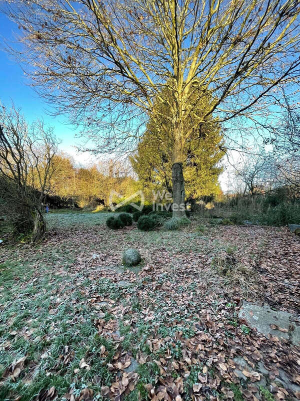Terrain à PONT-SUR-SAMBRE
