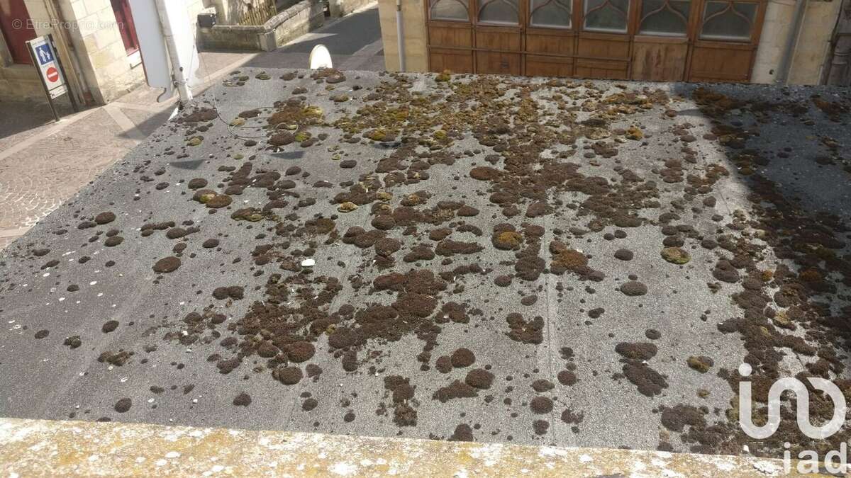 Photo 7 - Maison à CHINON