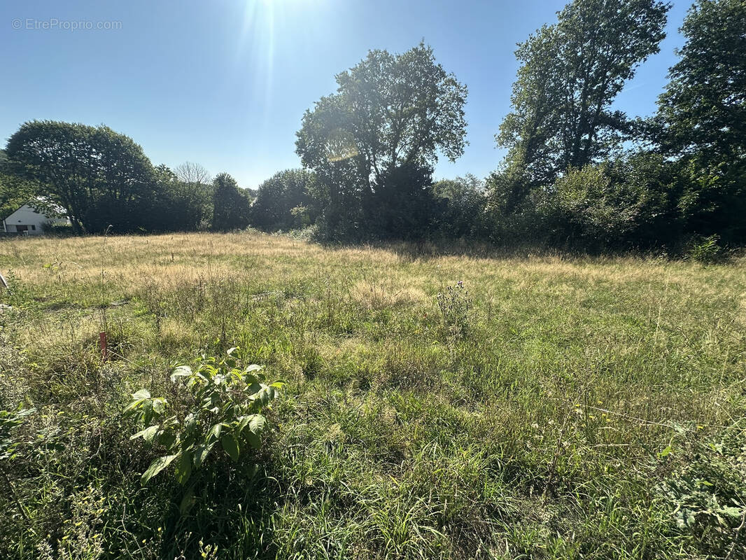 Terrain à BAUD
