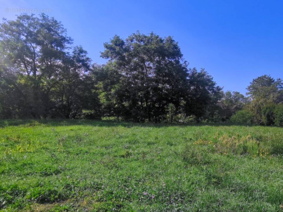 Terrain à RIANS