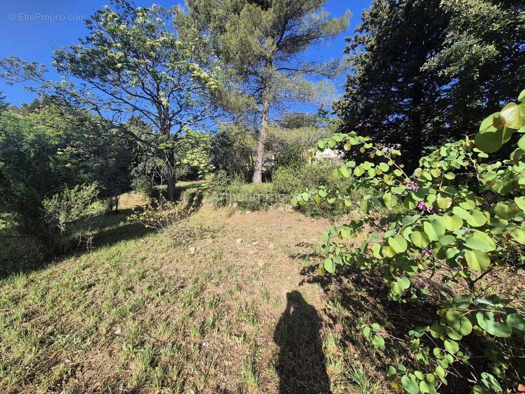 Vente Terrain Draguignan(83300) 120 000ï¿œ - photo 3
