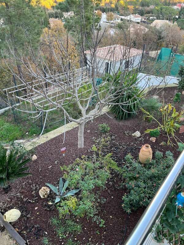 Photo 6 - Maison à VIDAUBAN