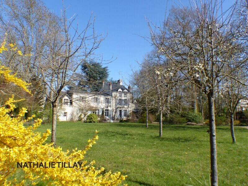 Maison à SAINT-PRYVE-SAINT-MESMIN
