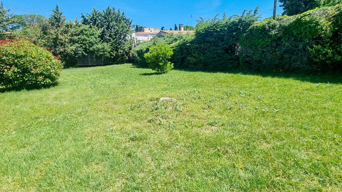 jardin - Maison à BELVEZE-DU-RAZES