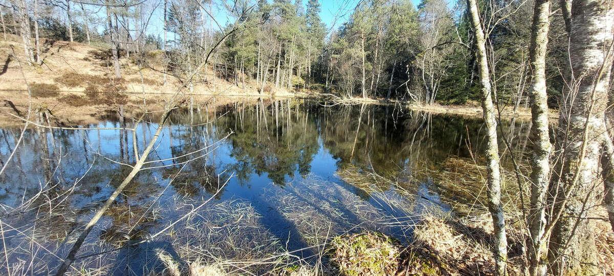 20250303_110710 - Terrain à FAUCOGNEY-ET-LA-MER