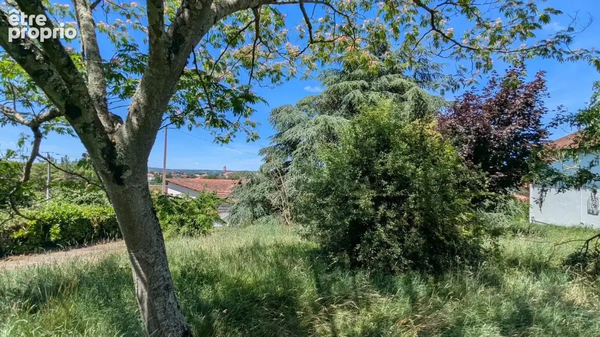 Terrain 685 m² à vendre à Albi (81000) - photo 6