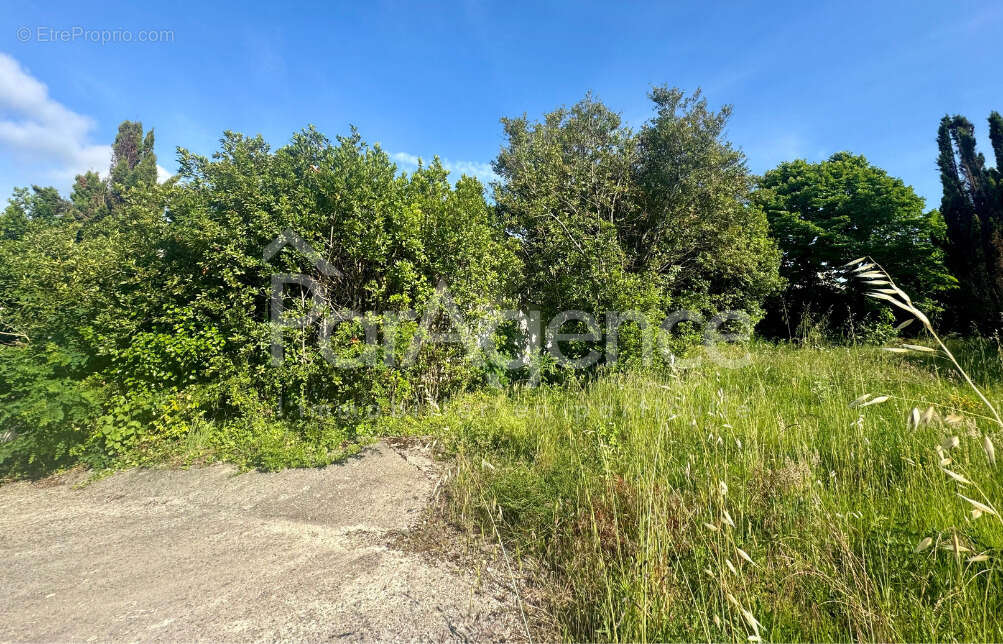 Terrain à VAUX-SUR-MER