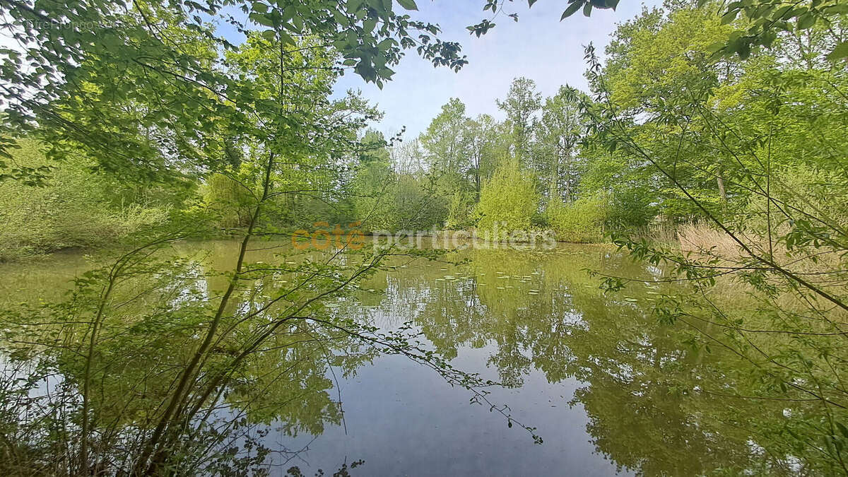 Terrain à CHEVILLON-SUR-HUILLARD
