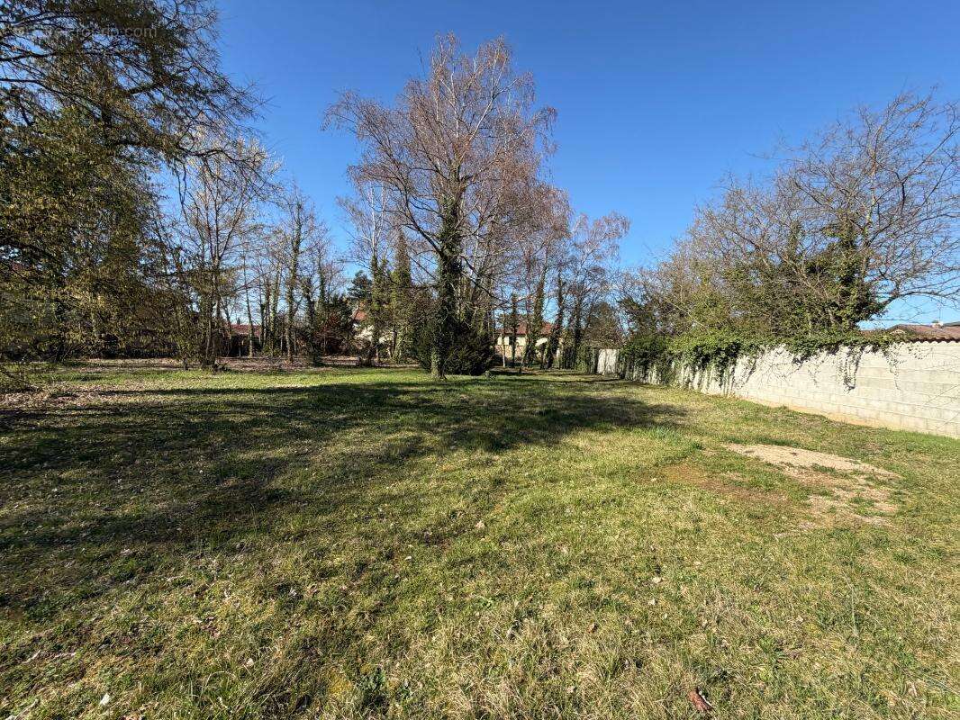 Terrain à PONT-DE-CHERUY