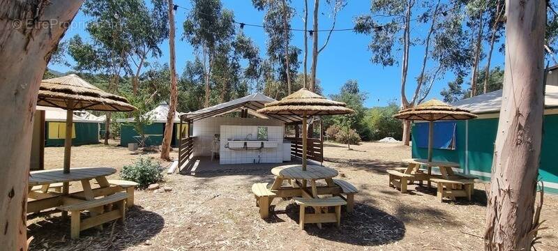 Terrain à CASALABRIVA