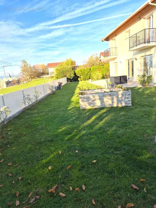 Maison à SAINT-CERGUES