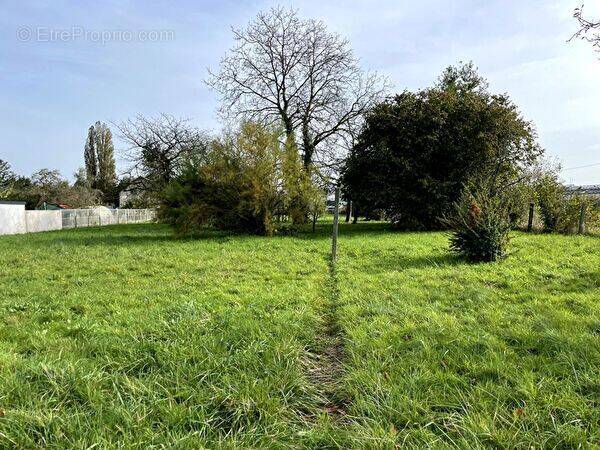 Terrain à COURTACON