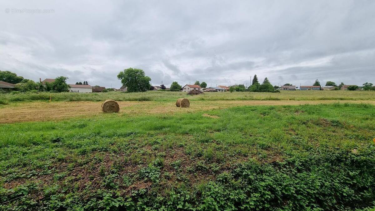 Photo 1 - Terrain à MONS