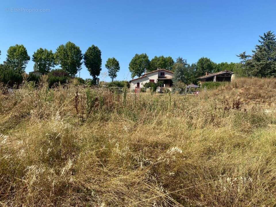 Terrain 378 m² à Labastide-Saint-Pierre  - photo 4