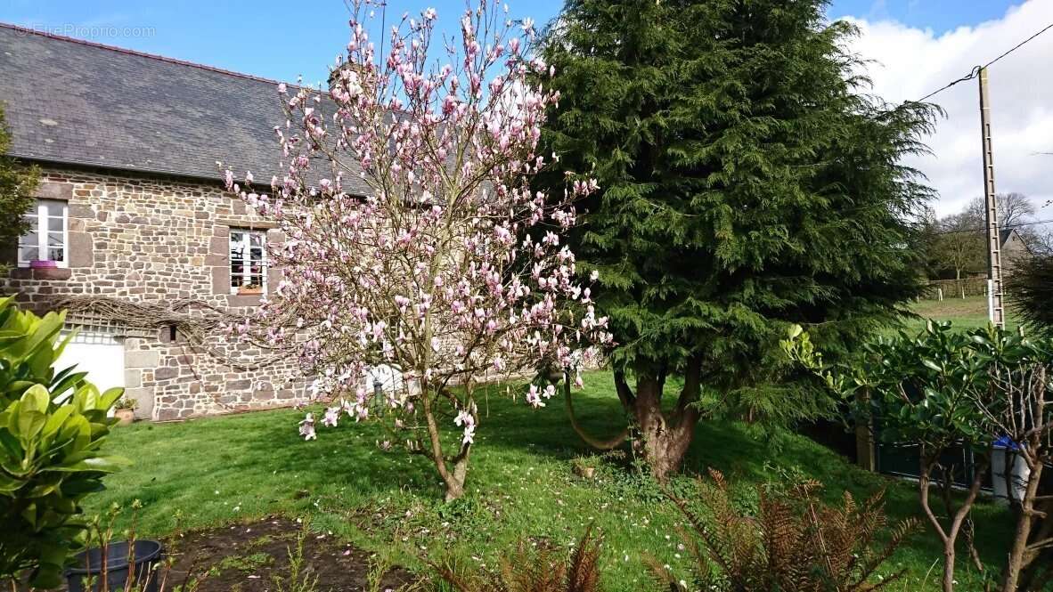 Maison à SAINT-AUBIN-DES-PREAUX
