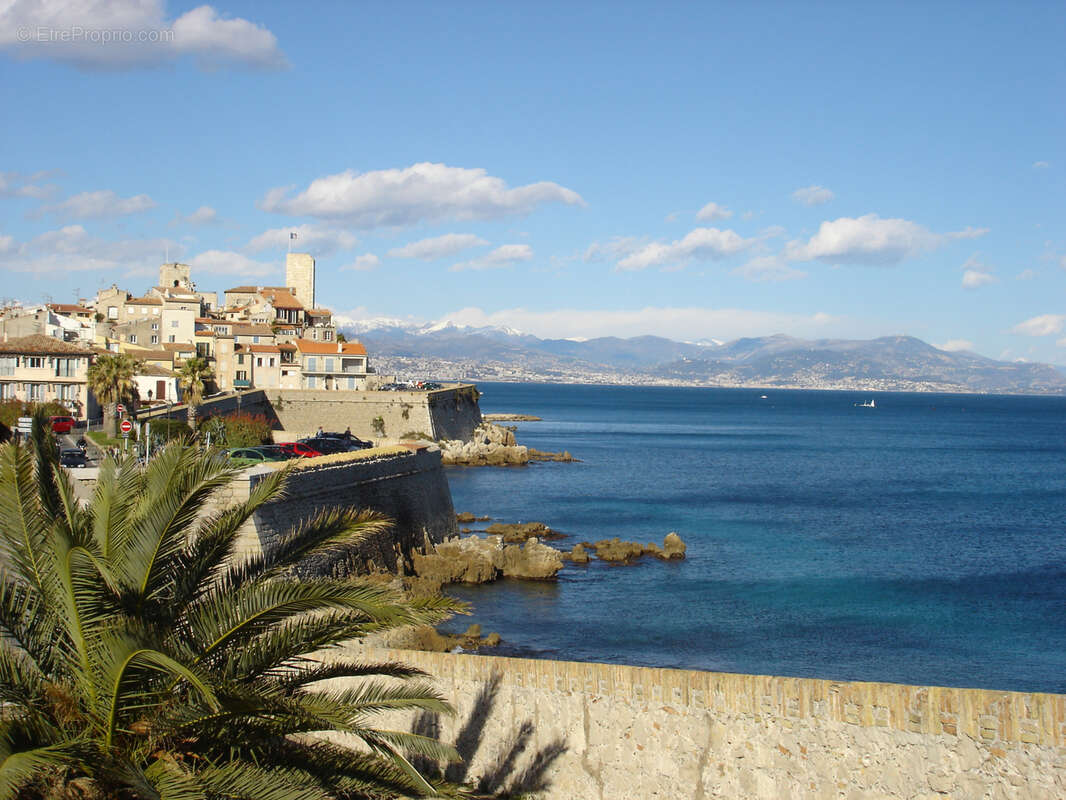 Vieil antibes superbe bar a vin restaurant terrasse - photo 3