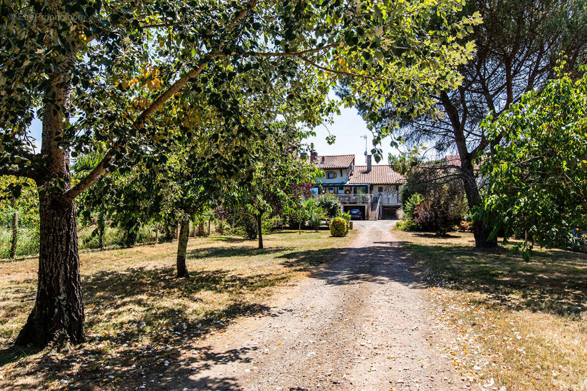 Appartement à AIRE-SUR-L'ADOUR