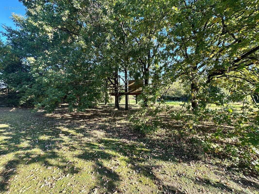 Photo 9 - Maison à OLIVET