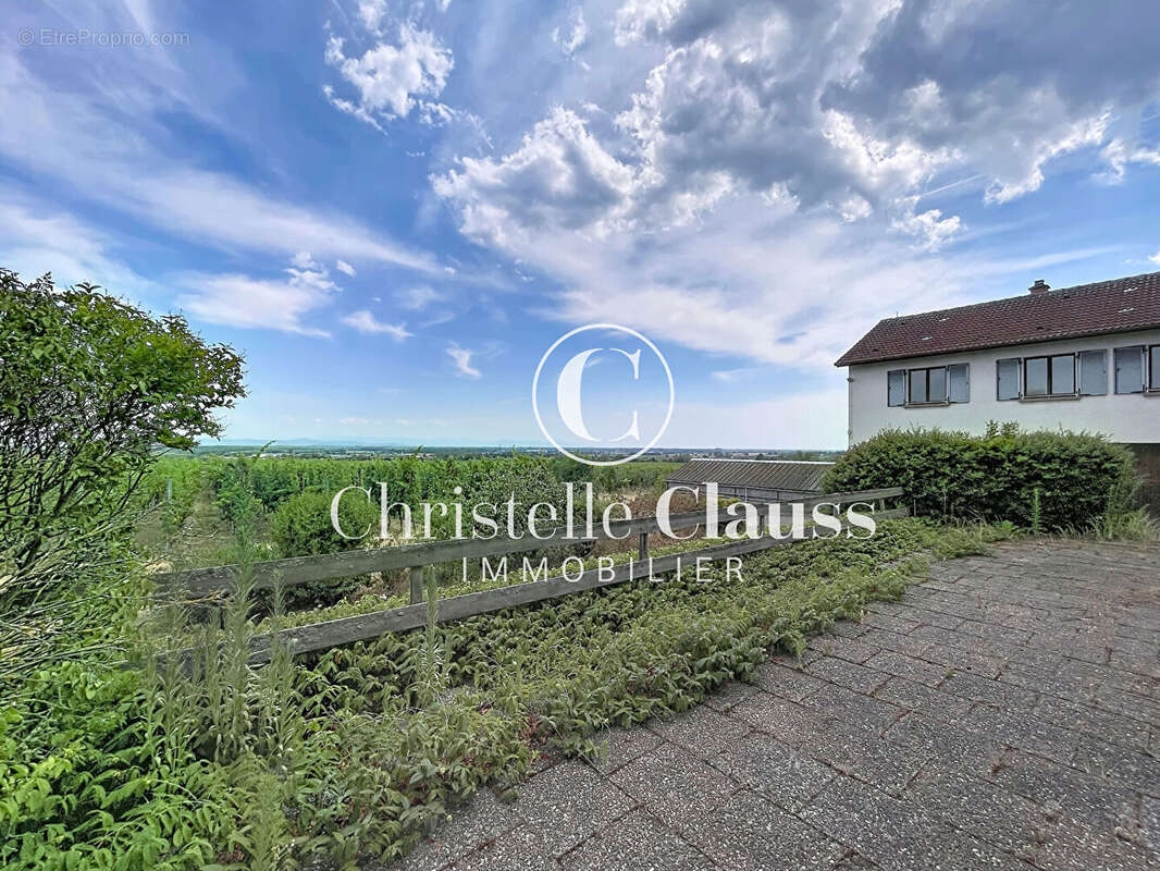 Maison Saint Hippolyte 217 m2 - photo 6