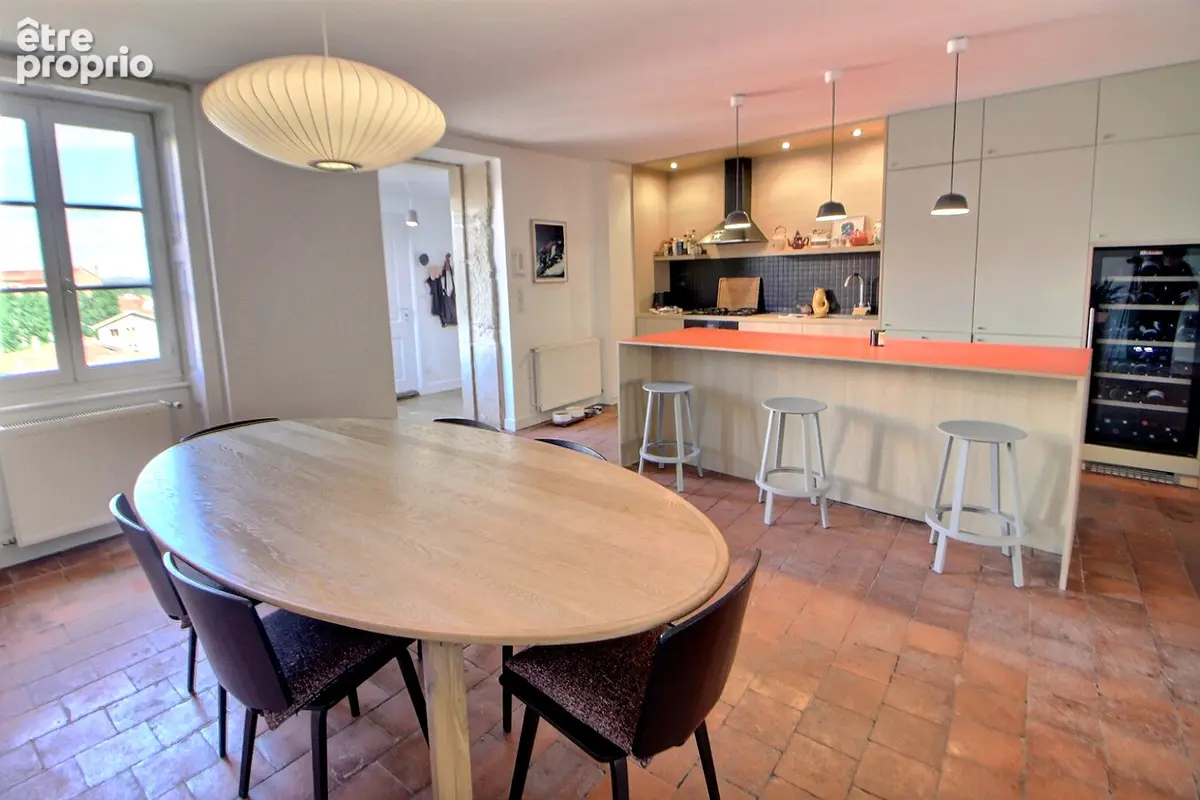Roanne rue piétonne - T5 de 133.06 m2 avec Terrasse - photo 3
