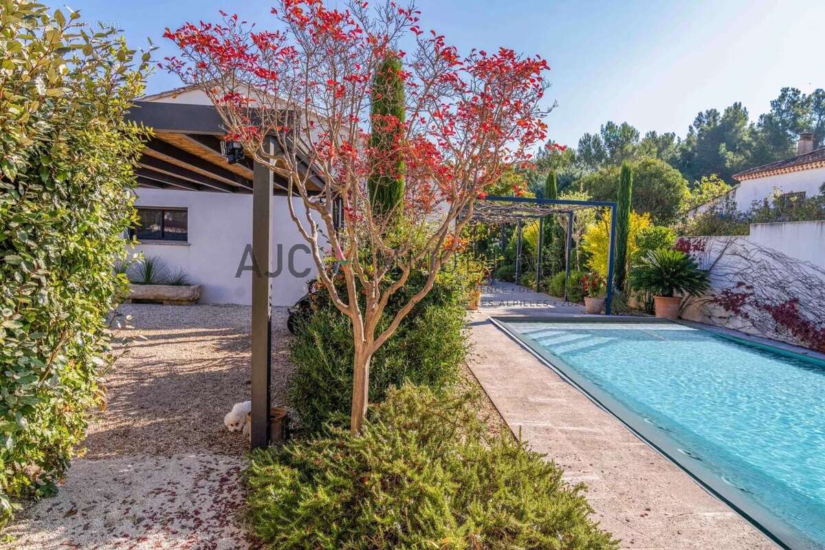 Maison à SAINT-REMY-DE-PROVENCE