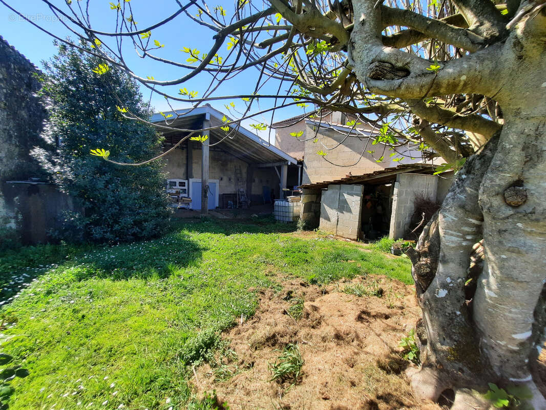 Maison de bourg 193 m2 + dépendance et jardin - photo 12