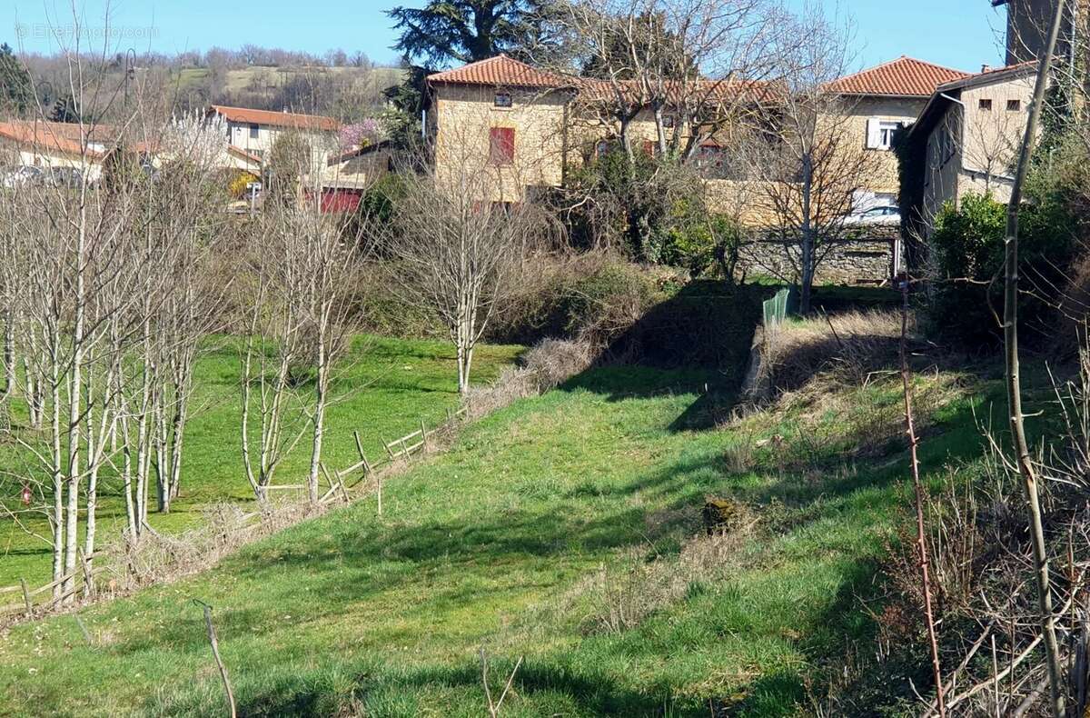 Terrain à OINGT