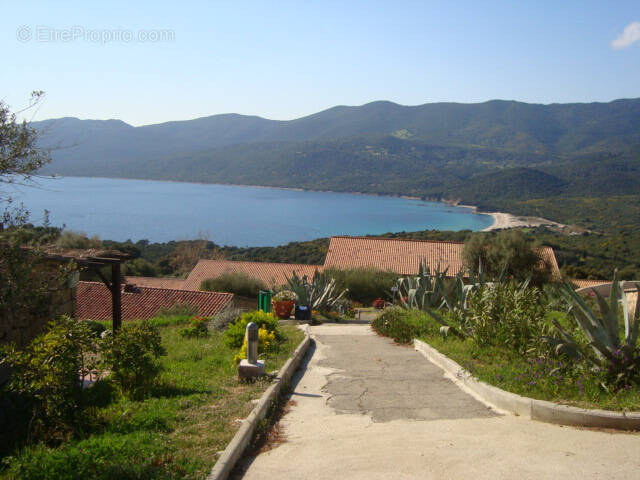 Maison à SERRA-DI-FERRO