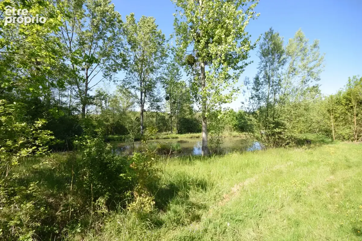 Maison 3 pièces 99 m² à vendre à Louhans (71500) - photo 6