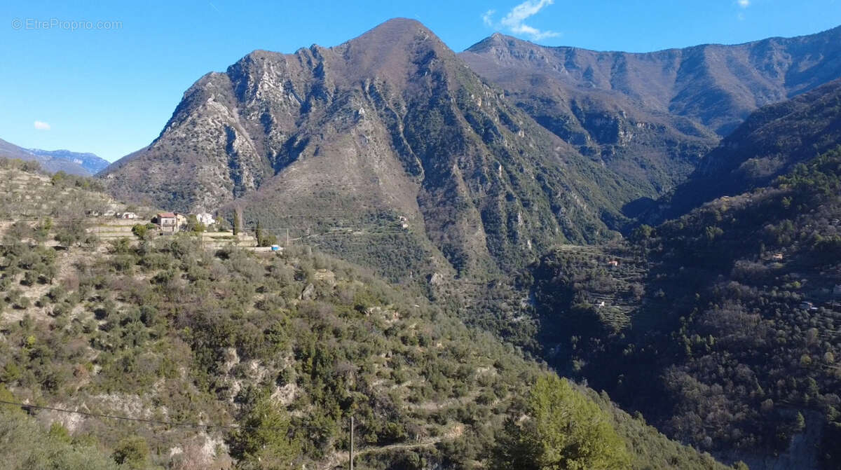 Maison à BREIL-SUR-ROYA