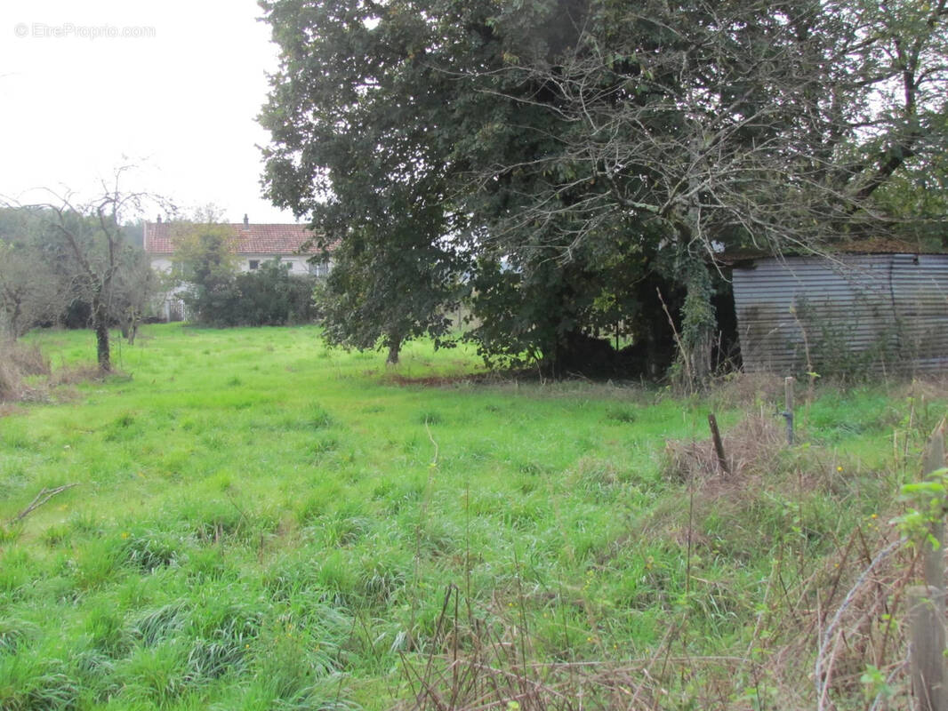 Terrain à BRUX