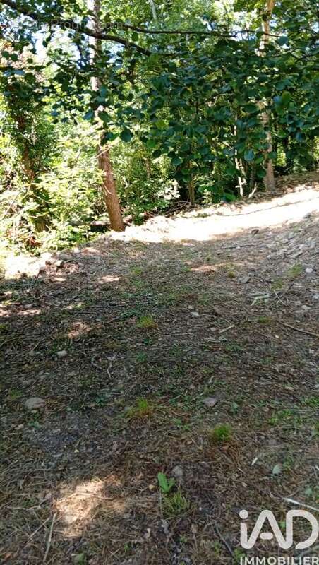Photo 3 - Terrain à CAMPLONG