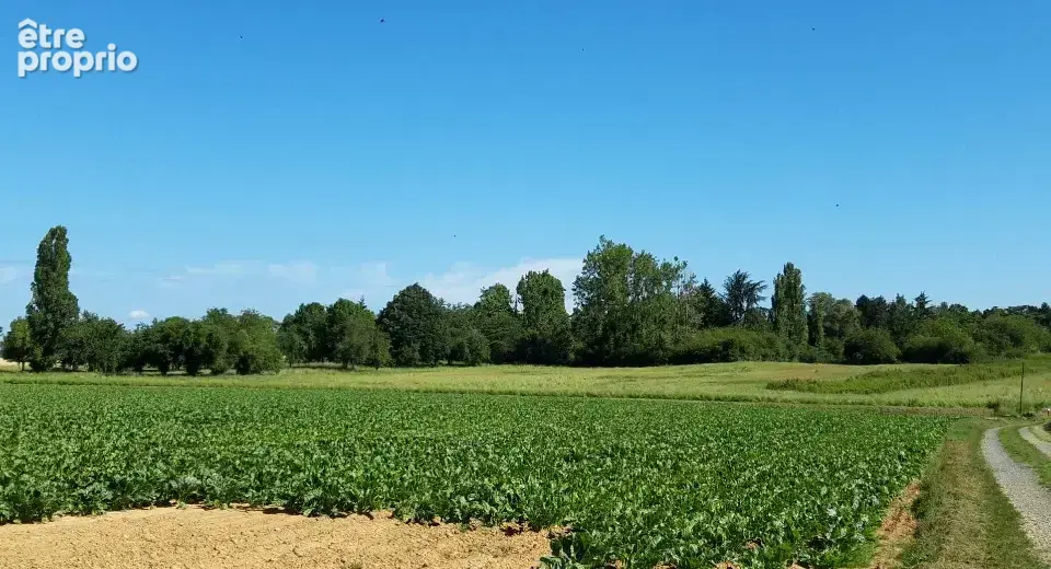 Terrain à BOULLAY-LES-TROUX