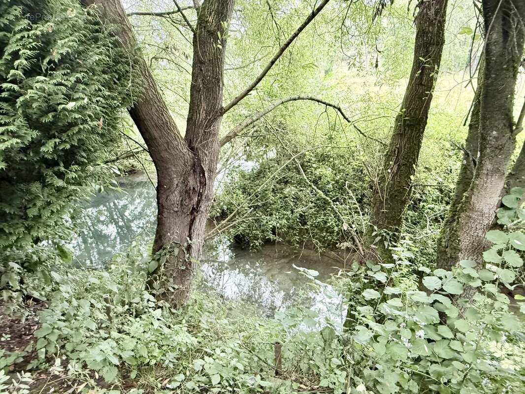 Terrain de loisir - photo 2