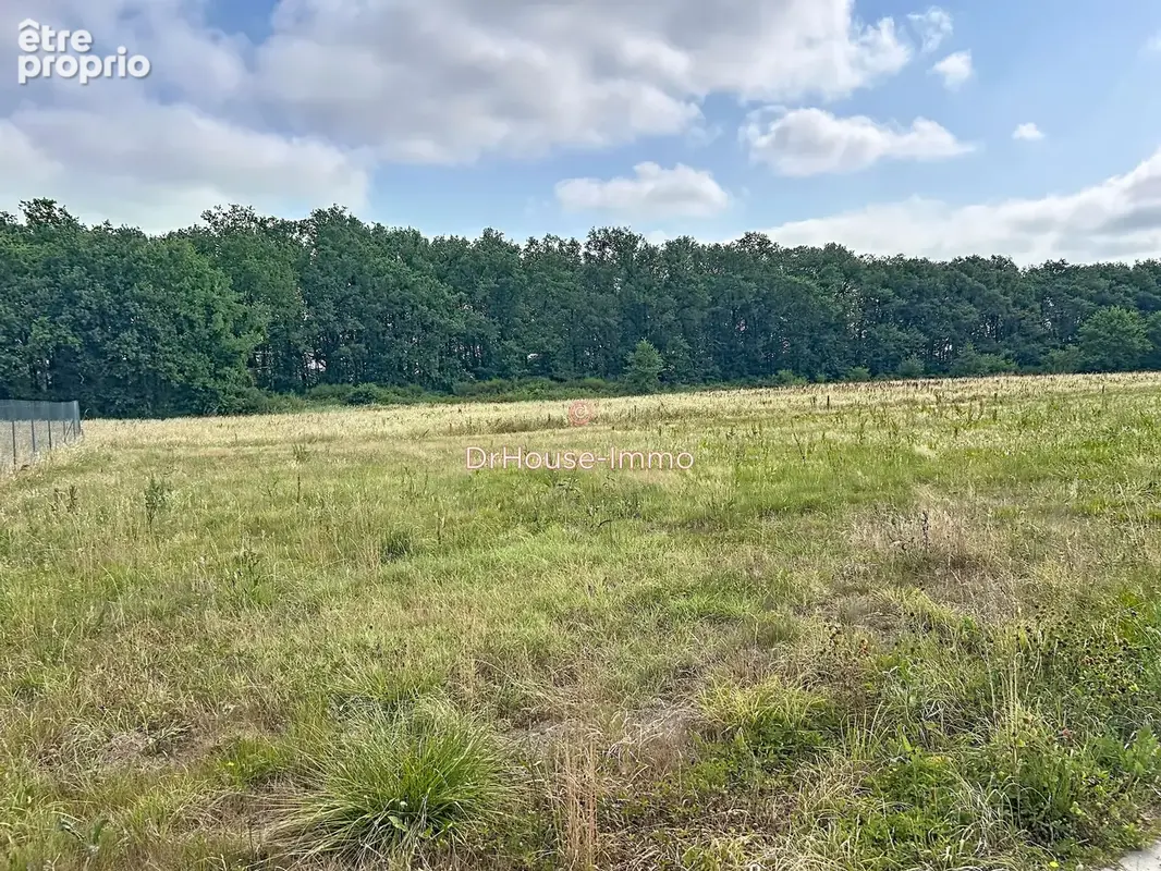 Terrain 772 m² à vendre à Cazeres-Sur-L'adour (40270) - photo 3