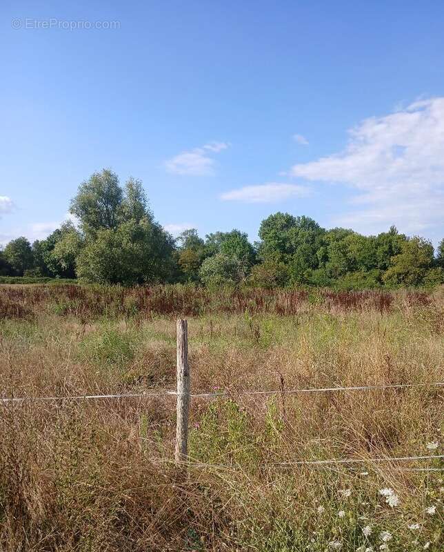 Terrain constructible - photo 5