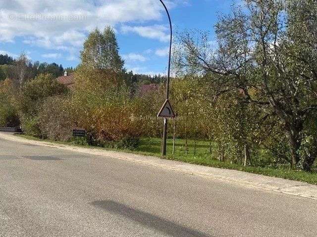 Terrain à REMORAY-BOUJEONS