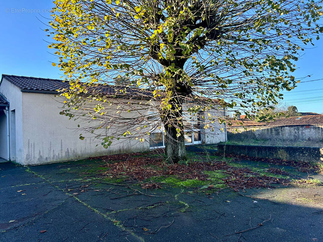 Maison à L'ILE-D'ELLE