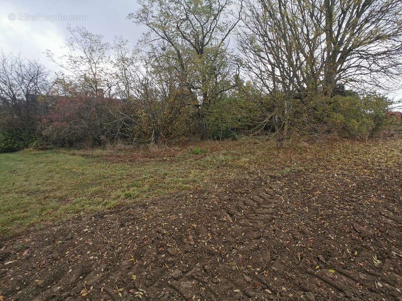 Maison à vendre 0 pièces  (36) - photo 5