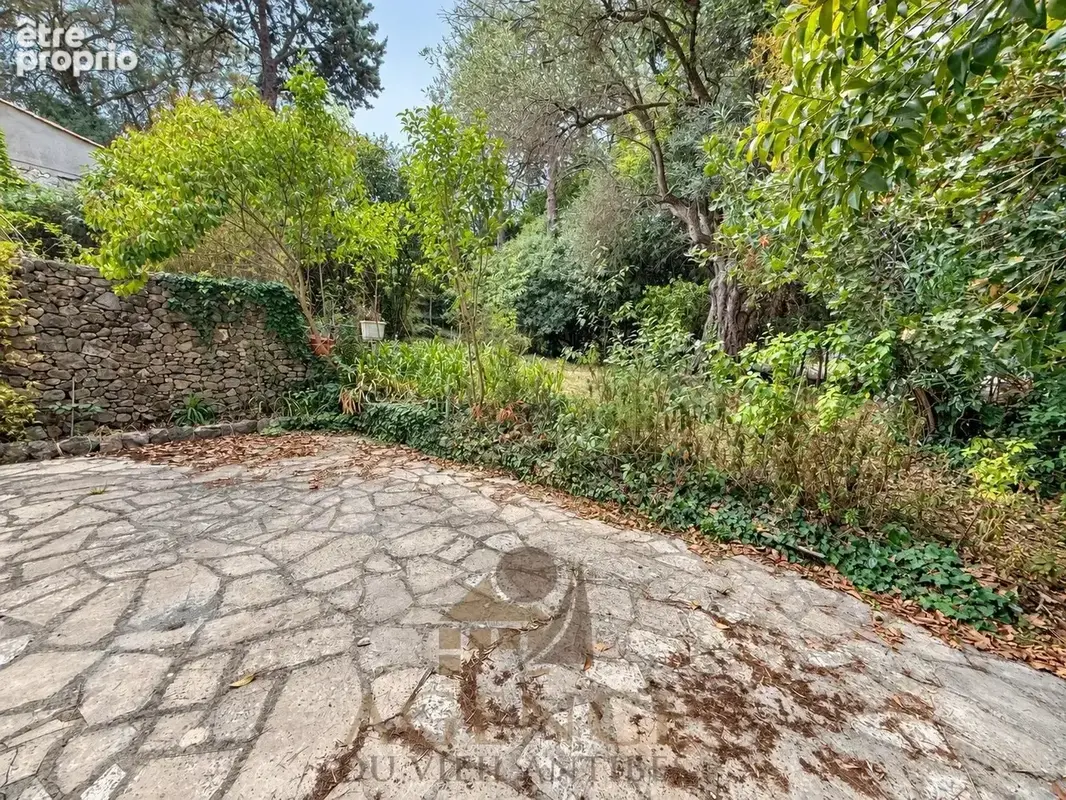 Antibes Suquette Maison avec terrain 2100m2– Authentique propriété en pierre – Environnement privilégié – Fort potentiel – Pisci - photo 28