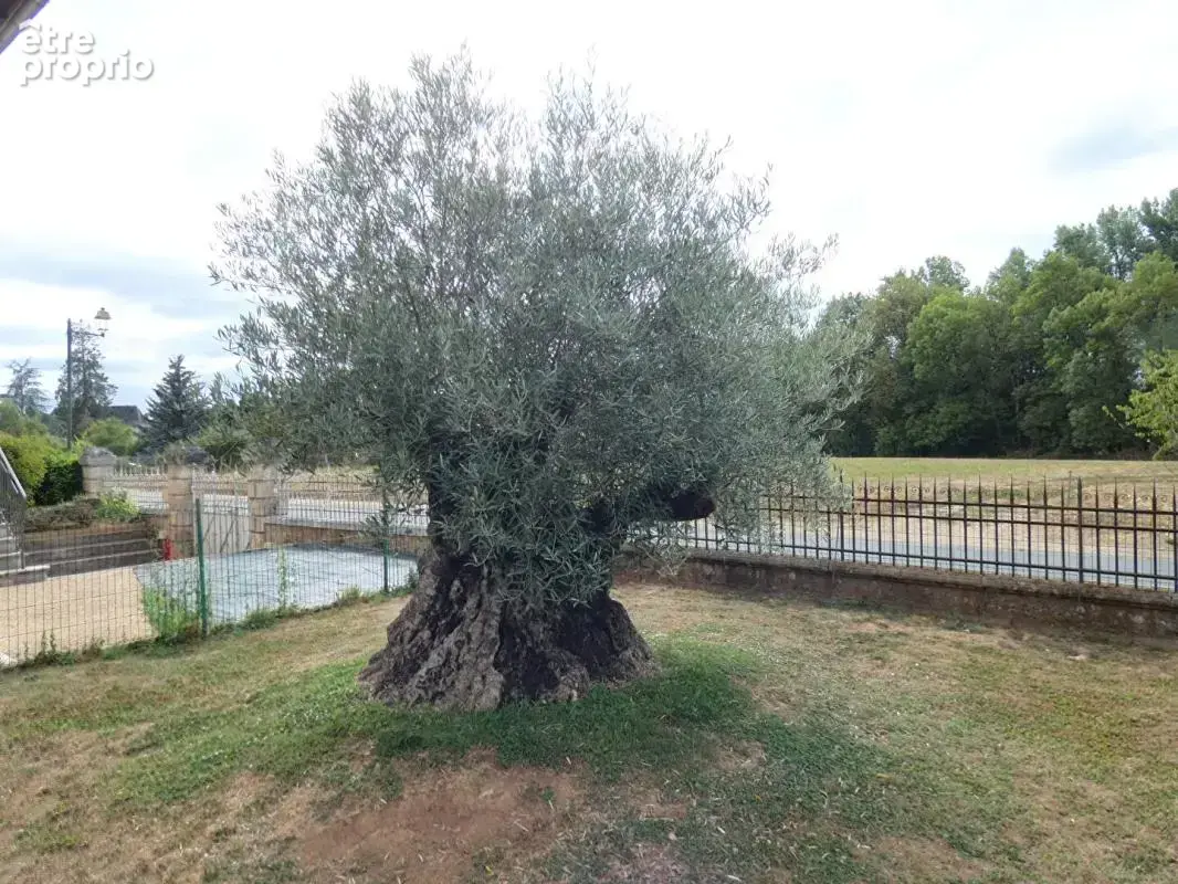 Maison 92 m2 / 3 chambres / cave / jardin - photo 4