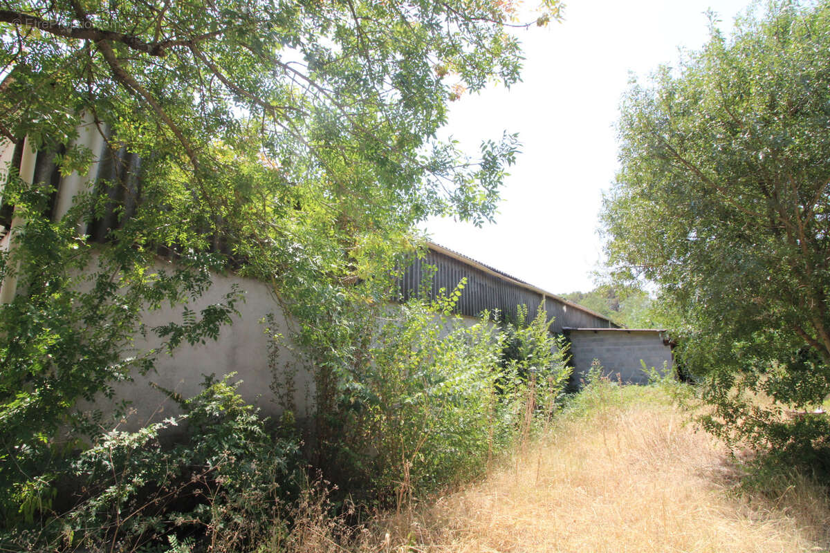 LOCAUX COMMERCIAUX DE 1750 M2 sur terrain de 3700 m2. - photo 7